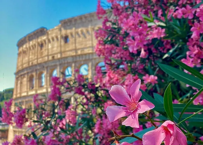 Cozy Colosseo *